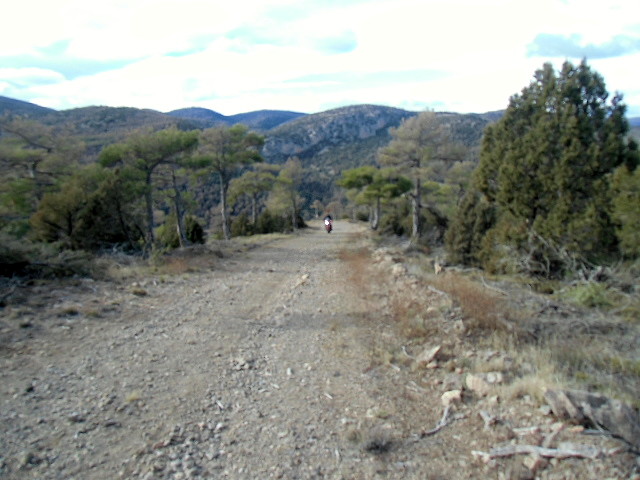 CIMG0701 CIMG0701