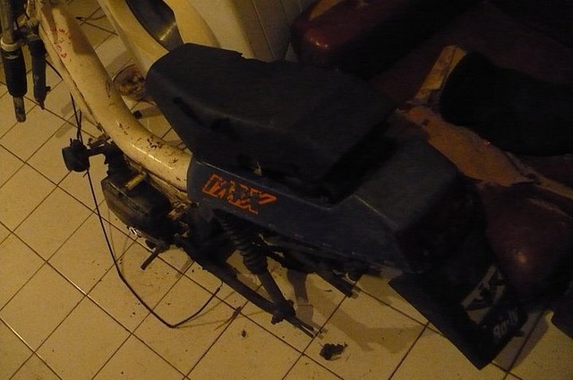 mi motito mi motito