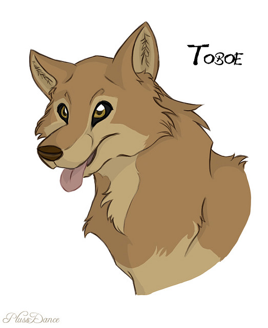 Toboe___Wolf__s_Rain_by_PlussDance