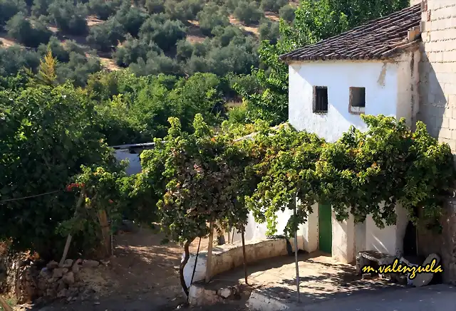 01, cortijo de Merino, marca