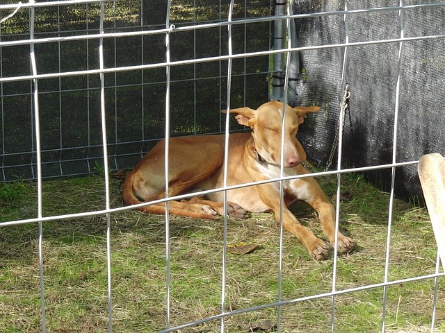CIMG0482_a