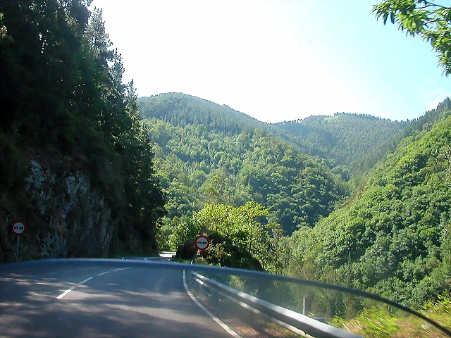 DSCN3646 DSCN3646