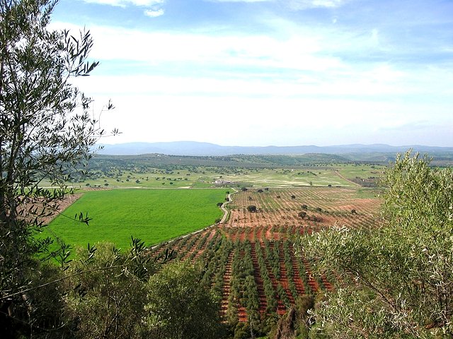 vistas desde el Rincn