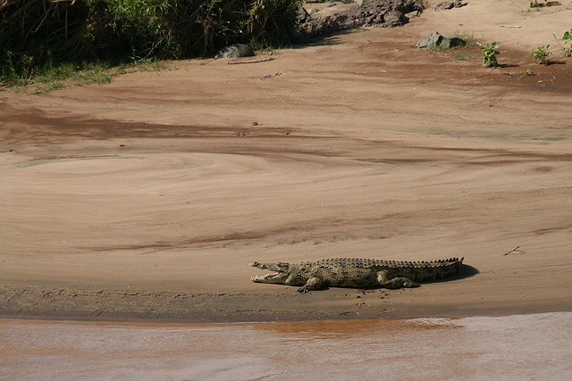 Johannesburg Kruger març 2009 1005 Johannesburg Kruger març 2009 1005