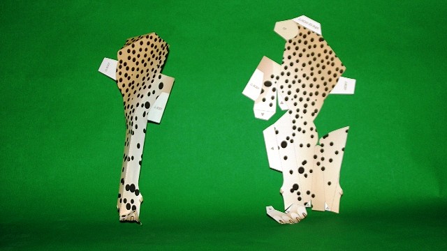 Cheetah (Papercraft) By Pendragon