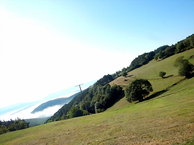 DSCN6951 DSCN6951