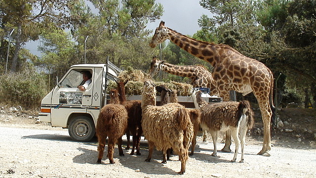 DSC05826 DSC05826