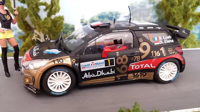 CITROEN DS3 WRC 2013 FRANCIA ALSACIA LOEB (2)