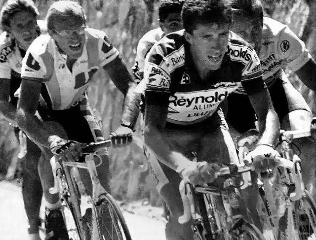 Perico-Tour1989-Lemond-Fignon-Rooks