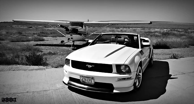 DSC_0490 DSC_0490