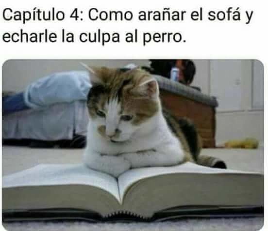 .facebook_1541690158728