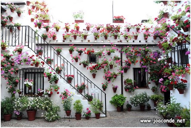 ¡JARDINES!