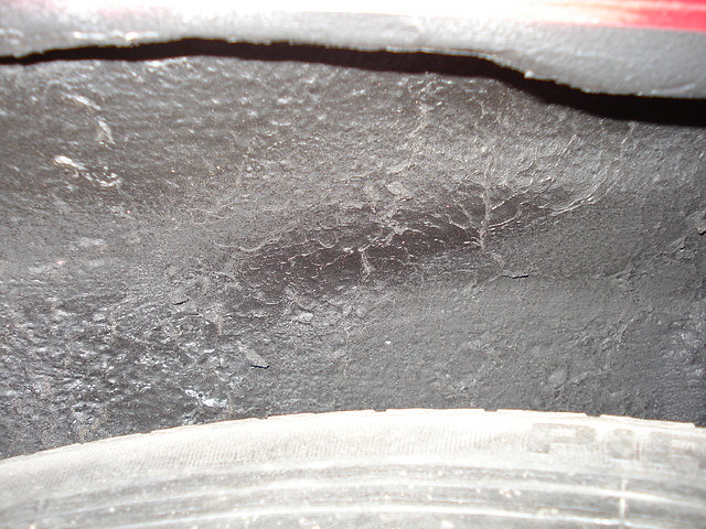 DSC03455 DSC03455