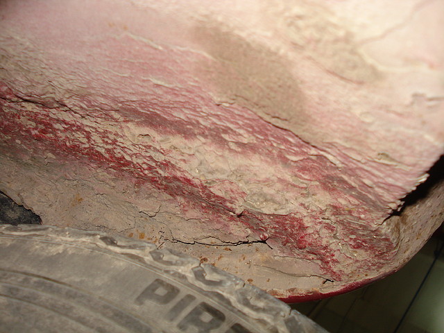 DSC03430 DSC03430