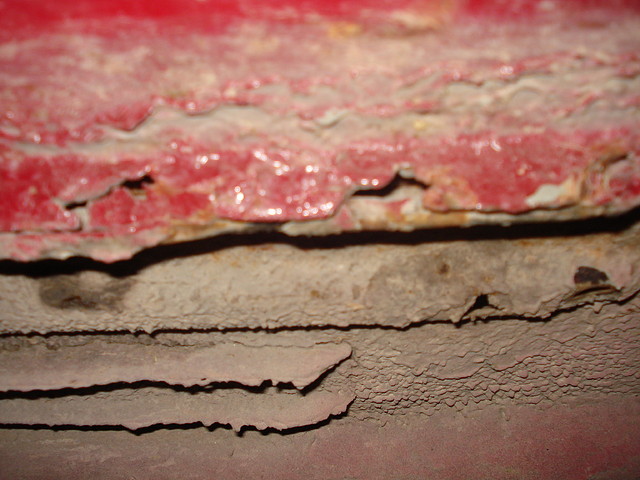 DSC03427 DSC03427