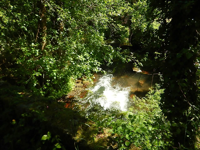 DSCN2363 DSCN2363
