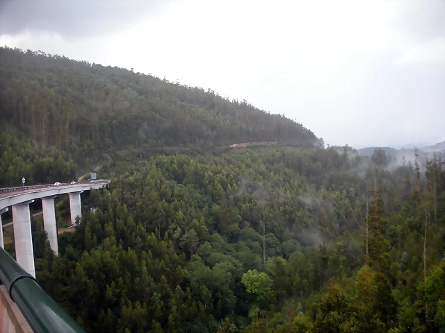 DSCN8493
