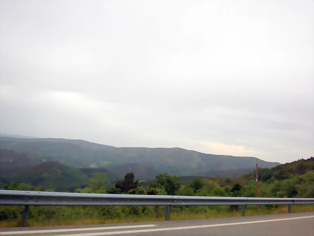 DSCN6543