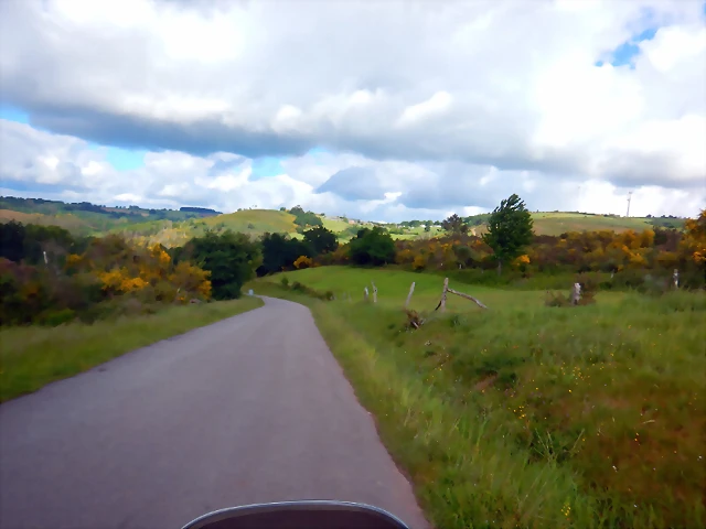 DSCN5211 DSCN5211