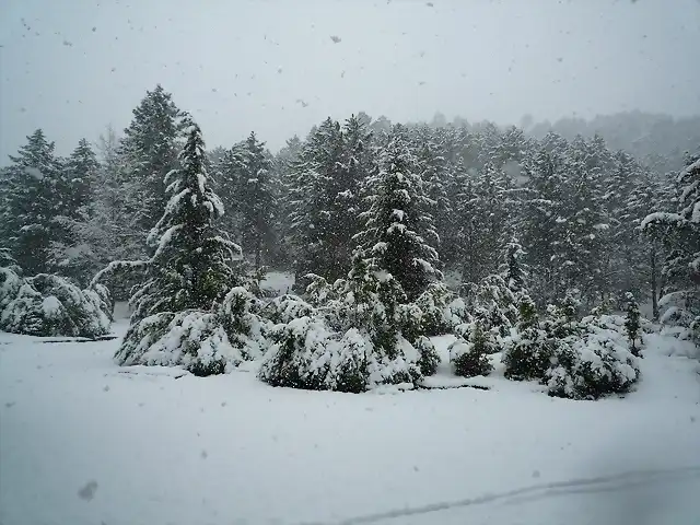 nevada en Riopar