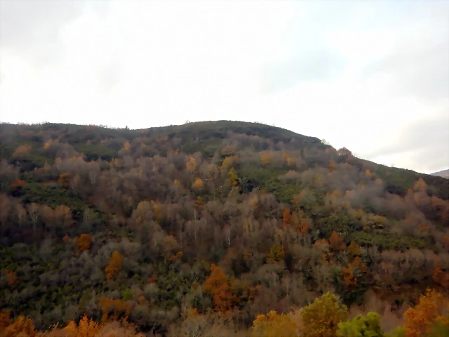 DSCN2025
