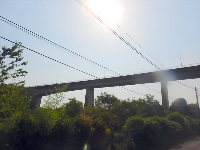 DSCN8491 DSCN8491