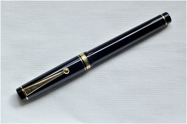 Pilot Custom-1