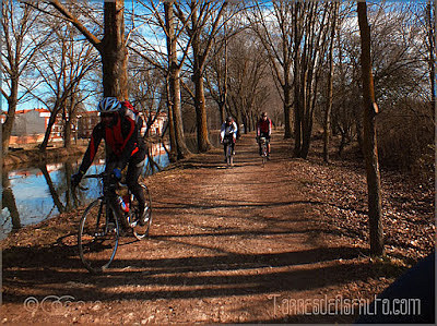 Darsena_de_Palencia