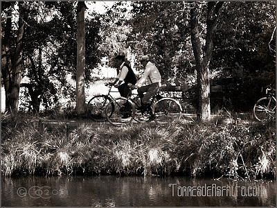 bicicletas_clasicas_en_la_Darsena_de_Palencia