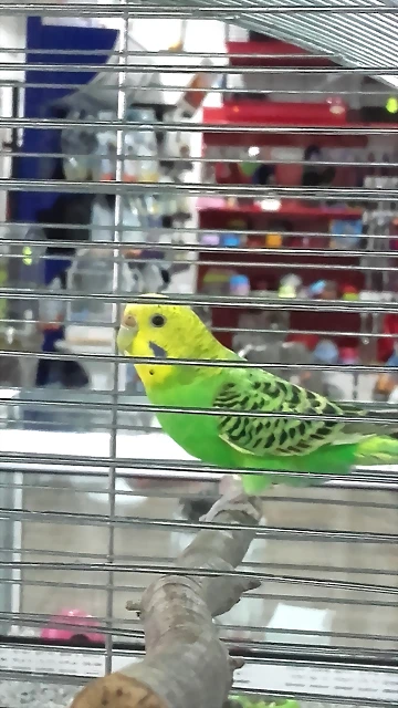 20170824_181422 20170824_181422