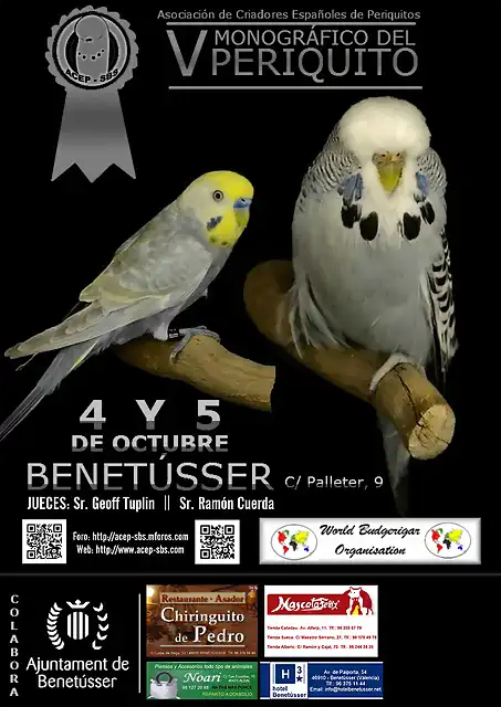 CARTEL BENETUSSER 13 JPEG