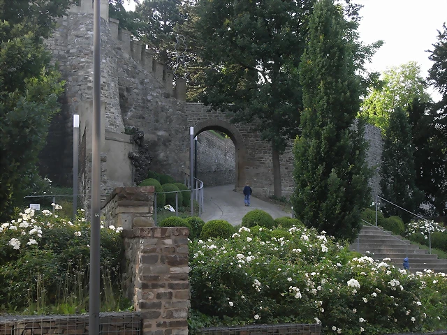 R0013615 R0013615