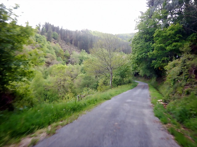 DSCN2140 DSCN2140