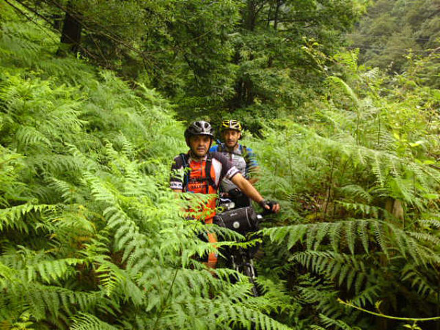 Perdidos en la selva