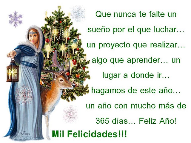 NAVIDAD 2011 - 110