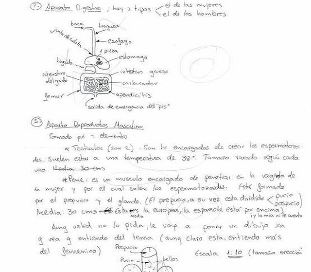 Examen%252520real%255B1%255D