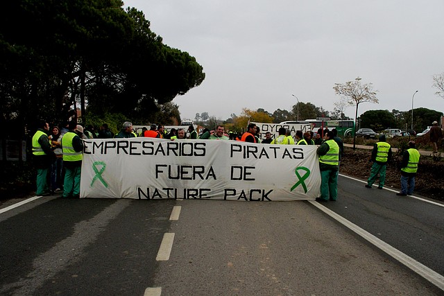 Corte de carretera-18.12.09-Nature Pack-Fot.J.Ch.Q.