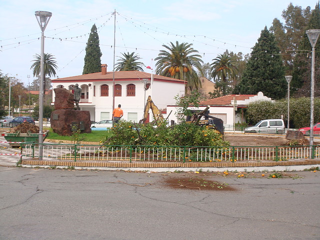 Corte de naranjos Plaz. El Minero-Riotint-Fot.J.Ch.Q.-13.12.10.jpg