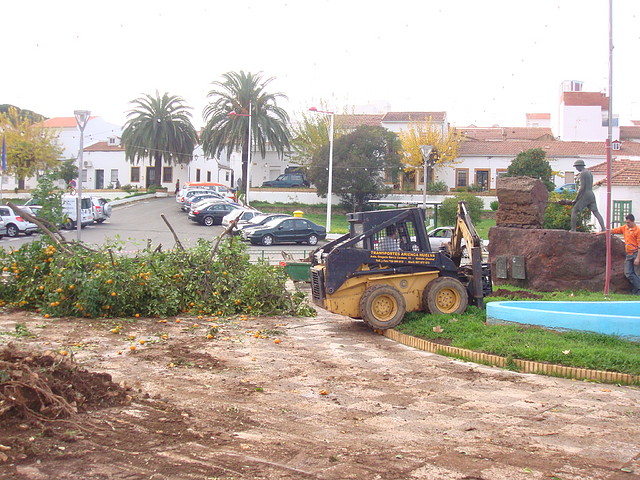 Corte de naranjos Plaz. El Minero-Riotint-Fot.J.Ch.Q.-13.12.10.jpg (5)