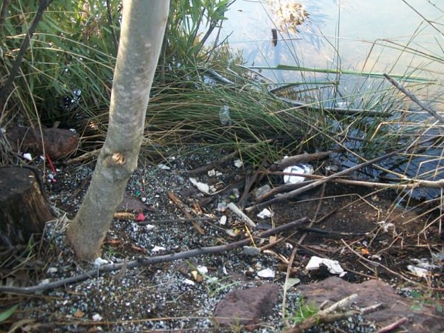 Aguas contaminadas al Balneario.jpg (12)