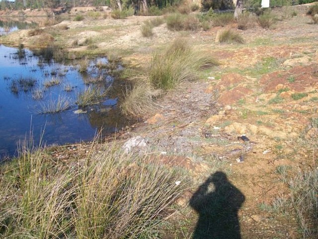 Aguas contaminadas al Balneario.jpg (7)