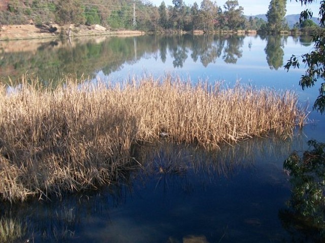 Aguas contaminadas al Balneario.jpg (51)