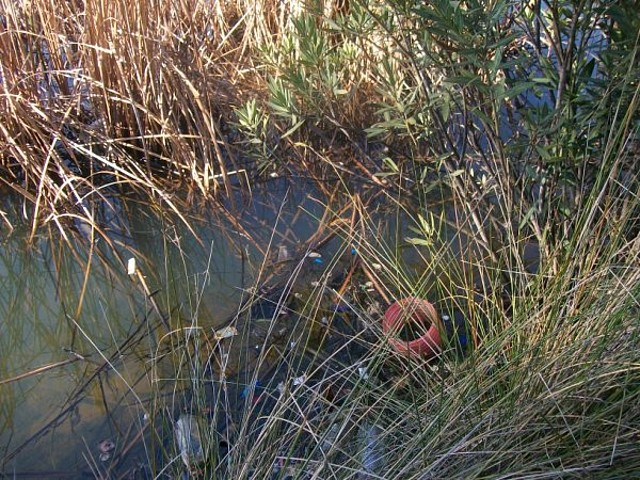 Aguas contaminadas al Balneario.jpg (14)