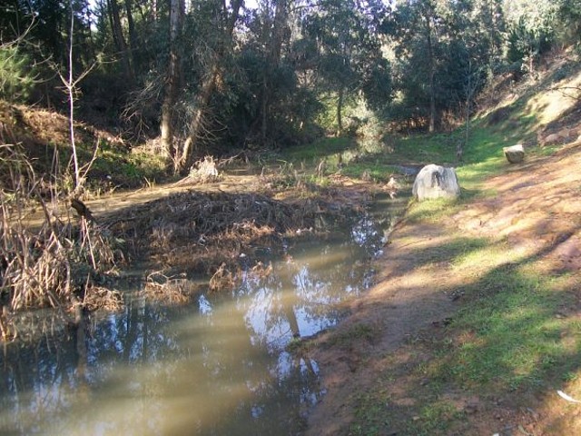 Aguas contaminadas al Balneario.jpg (28)