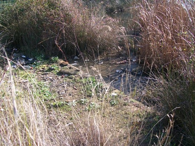 Aguas contaminadas al Balneario.jpg (24)