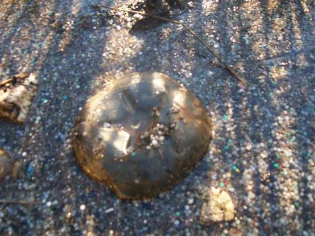 Aguas contaminadas al Balneario.jpg (21)