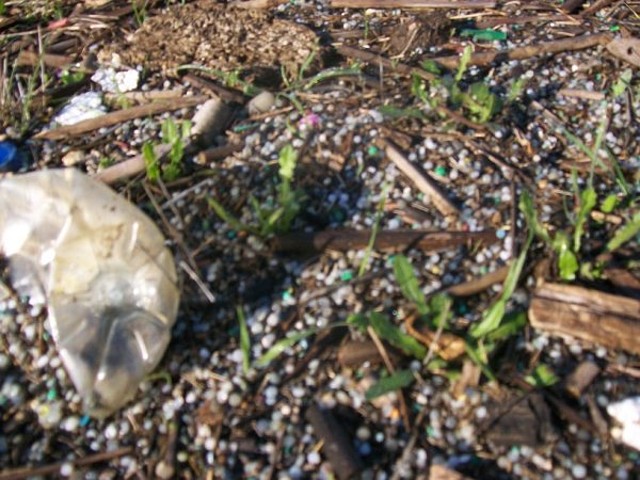 Aguas contaminadas al Balneario.jpg (3)