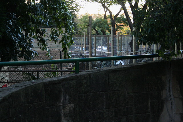 Zoo de Barcelona 11-11-10 321 Zoo de Barcelona 11-11-10 321