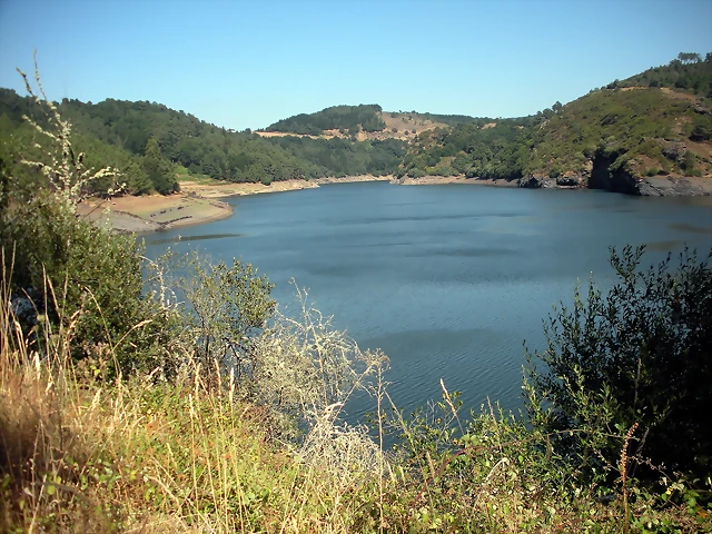 DSCN7088 DSCN7088