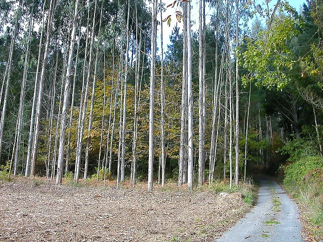 DSCN6401 DSCN6401